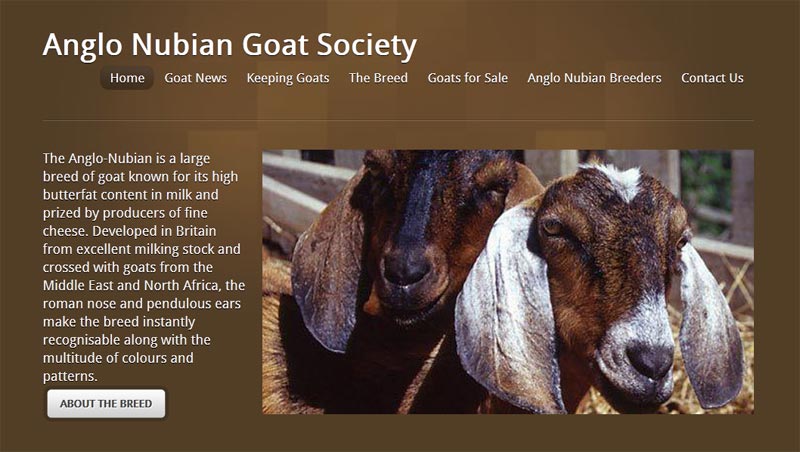 Anglo Nubian Goat Society launches new website - Pet ...