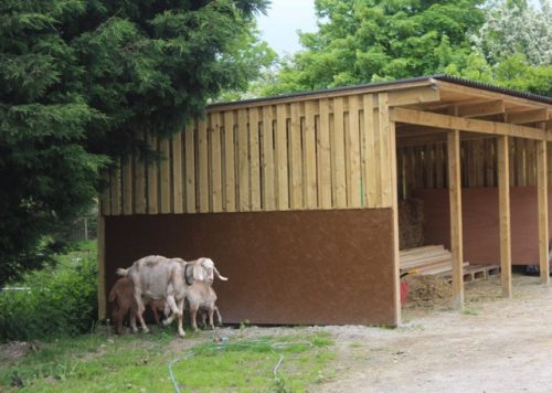 Field shelter is ready - Pet Samaritans