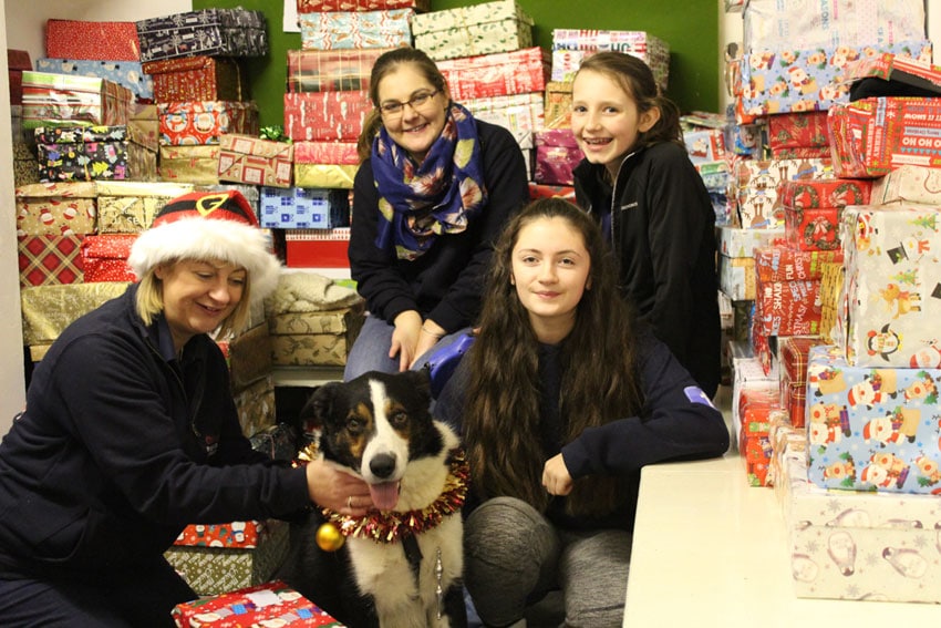 Homeless Shoebox Appeal for Pets