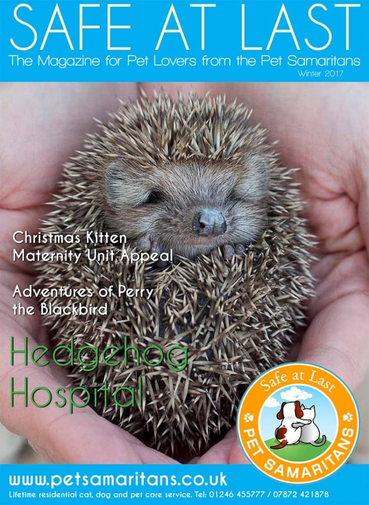 Safe at Last magazine from the Pet Samaritans