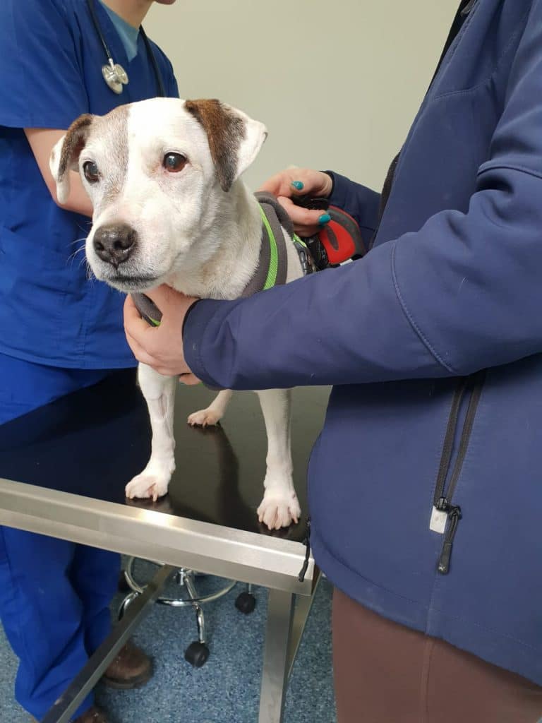 Alan at Staveley Vets