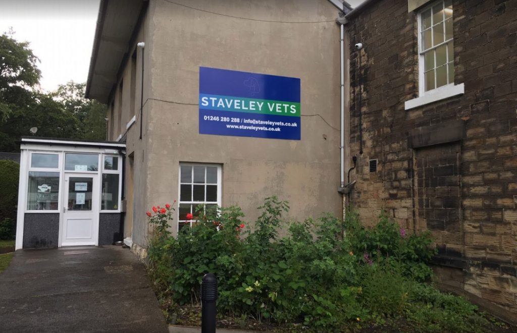 Alans Feeling Great Thanks to Staveley Vets - Pet Samaritans