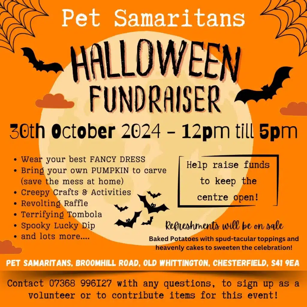 Halloween Fundraiser