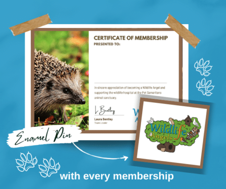 wildlife angels membership