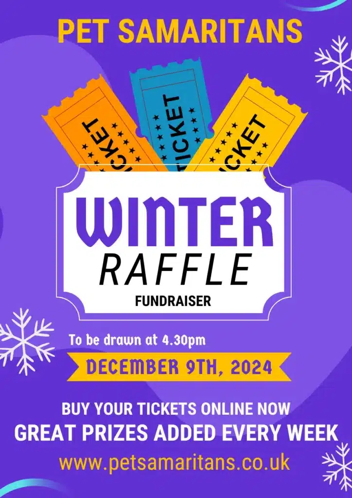 Winter raffle